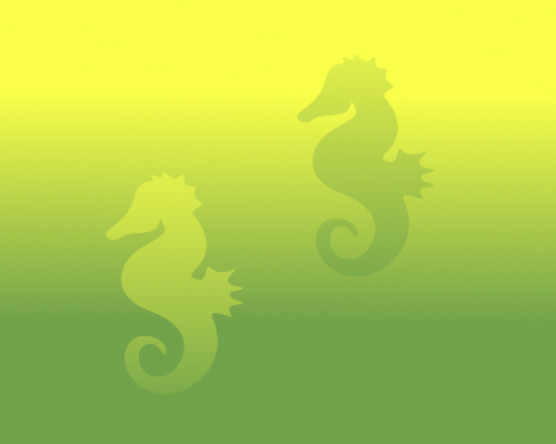 Seahorse Color Illusion Puzzlewocky